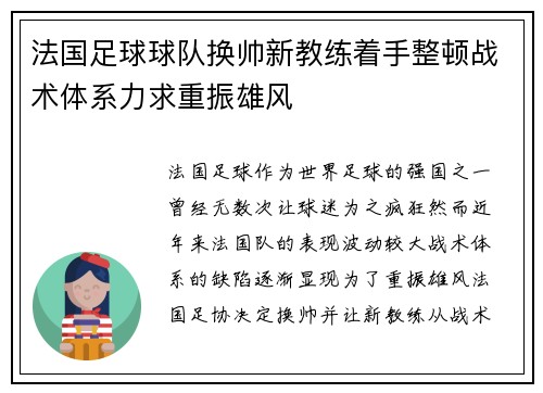 法国足球球队换帅新教练着手整顿战术体系力求重振雄风